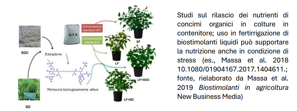 propagazione