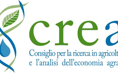 Notizia di Prova