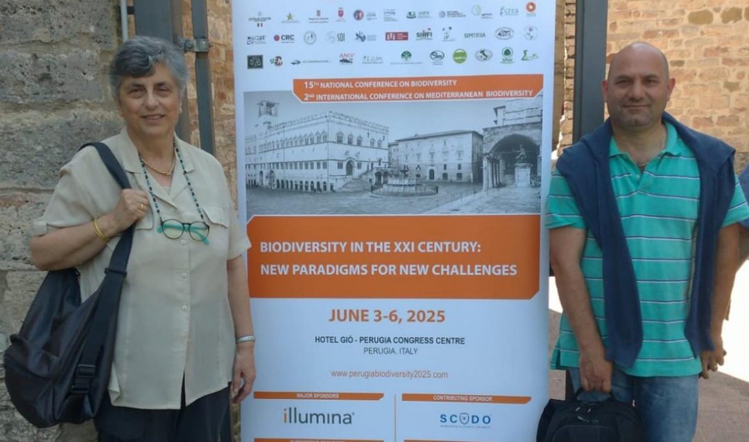 Convegno Scientifico: 15th National Congress on Biodiversity e 2nd International Conference on Mediterranean Biodiversity. Perugio, 03-06/06/2025